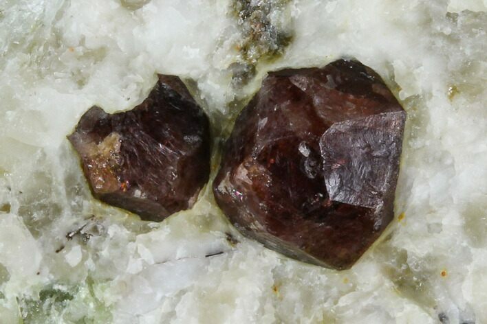 Red Pyrope Garnets in Quartzite - Namibia #128390